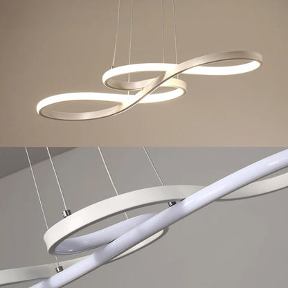 Lame — Suspension Linéaire à Variateur, vue 5