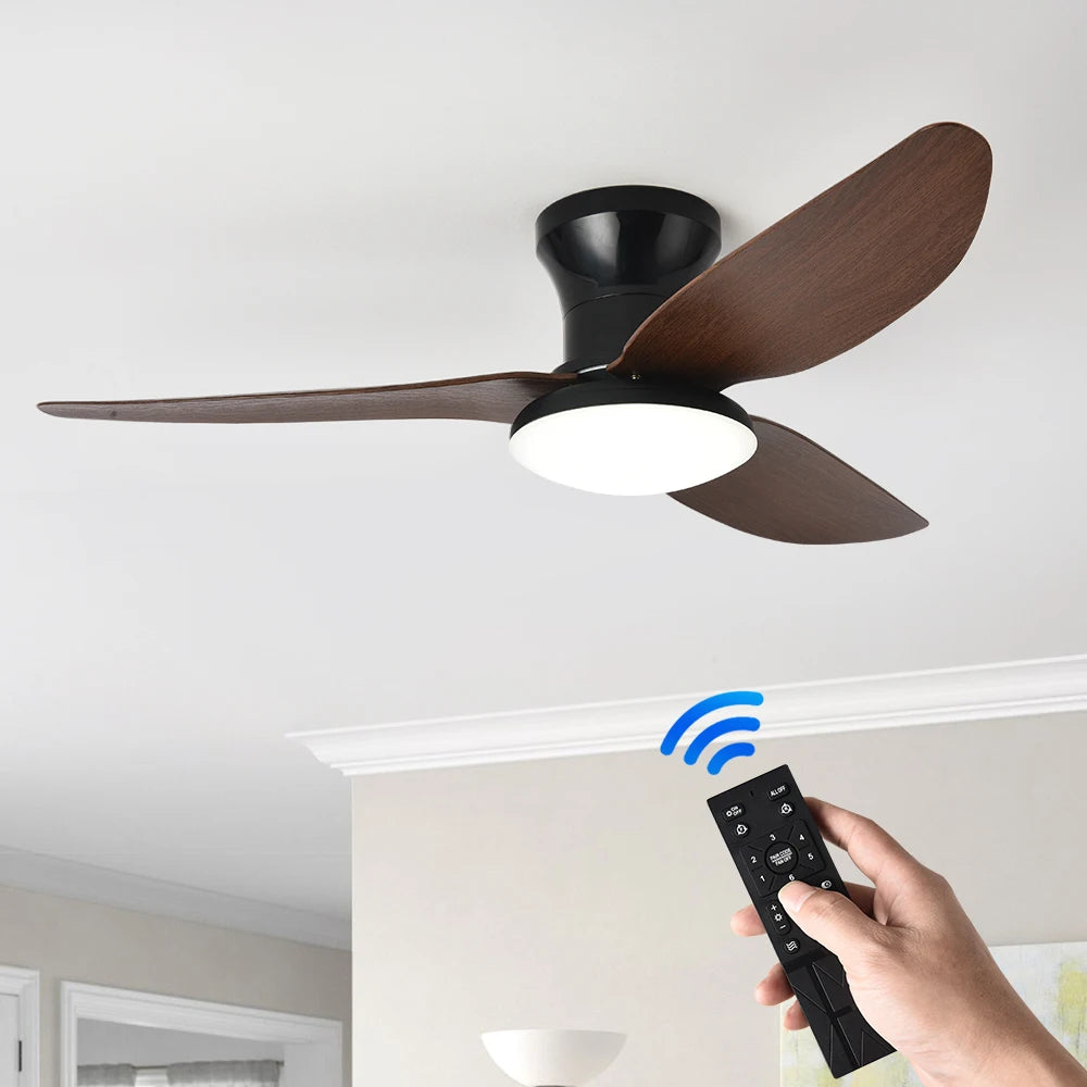 Norois, ventilateur de plafond de chambre, vue d'ensemble