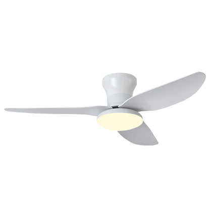 Norois allumé, lumière variable