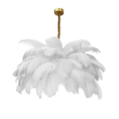 Aigrette — Lustre en Plumes d'Autruche, vue 7